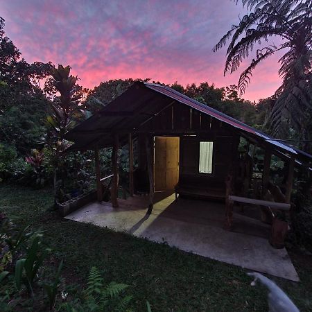 Cabana Maquique - San Vito Villa San Ramon  Exterior foto